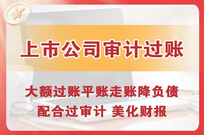 六盘水上市公司审计过账