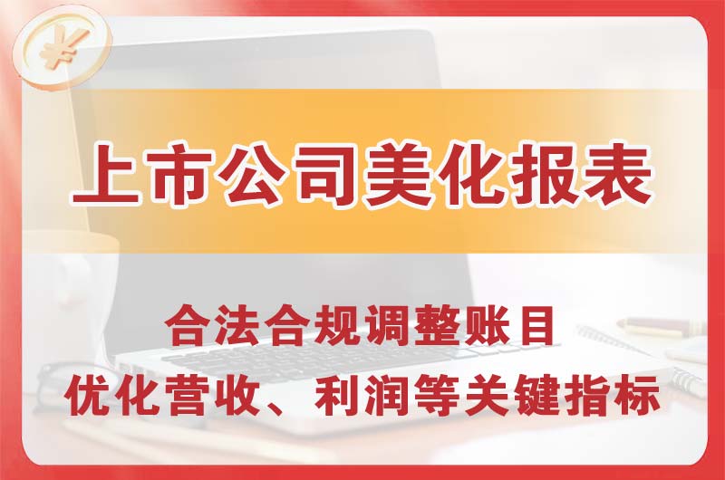 六盘水上市公司美化报表